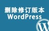 wordpress删除修订版本文章